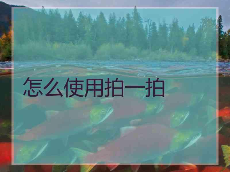 怎么使用拍一拍