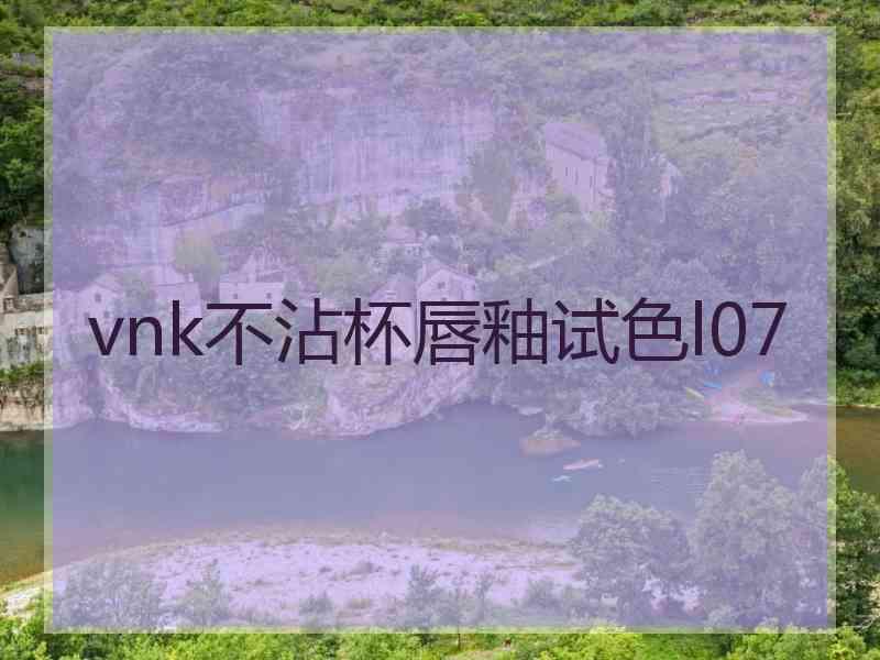 vnk不沾杯唇釉试色l07