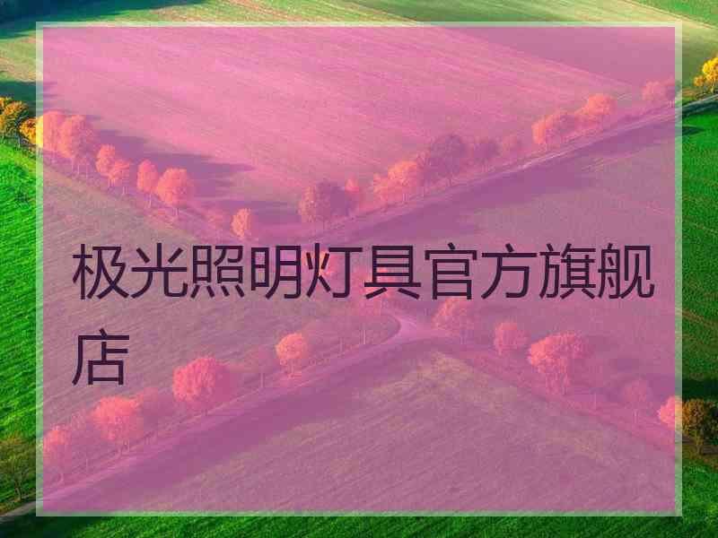 极光照明灯具官方旗舰店