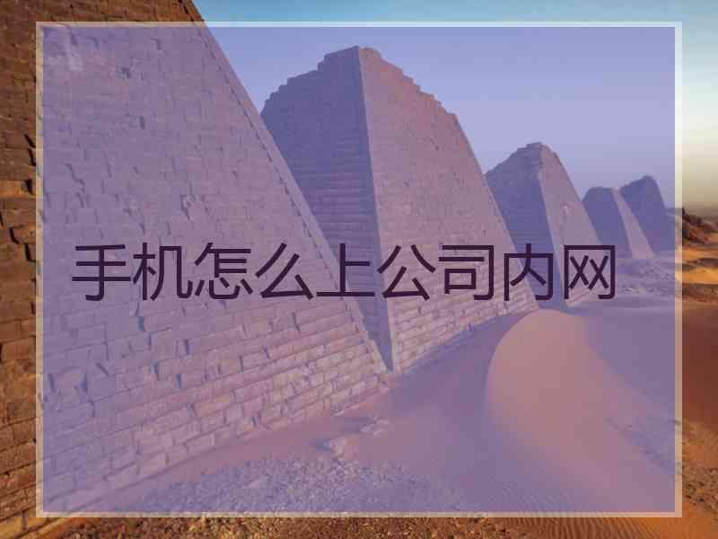 手机怎么上公司内网