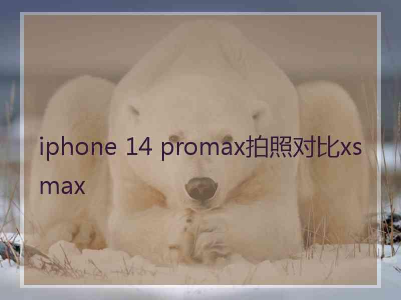iphone 14 promax拍照对比xsmax
