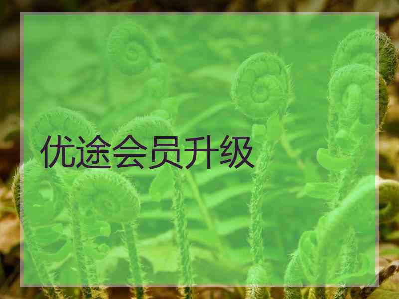 优途会员升级