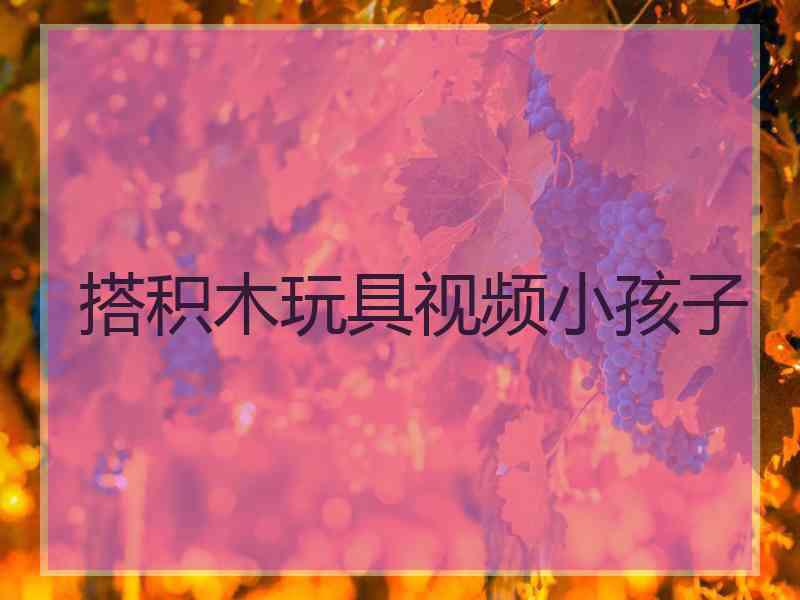 搭积木玩具视频小孩子