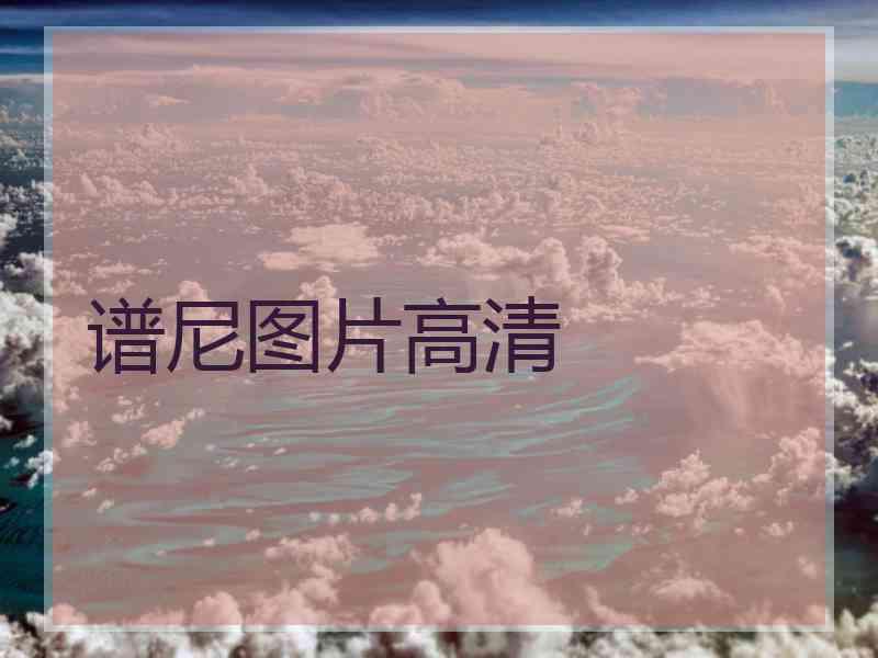 谱尼图片高清