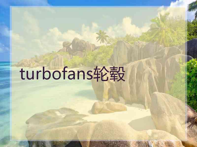 turbofans轮毂