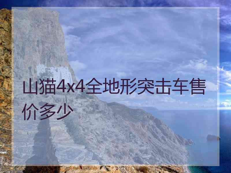山猫4x4全地形突击车售价多少