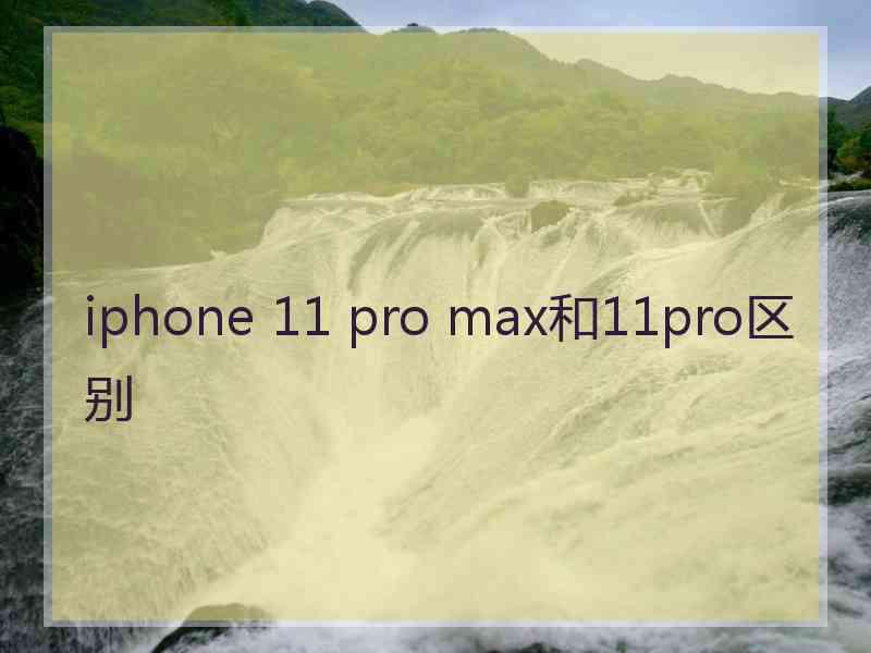 iphone 11 pro max和11pro区别