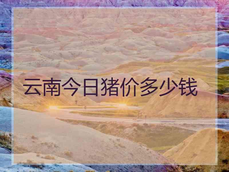 云南今日猪价多少钱