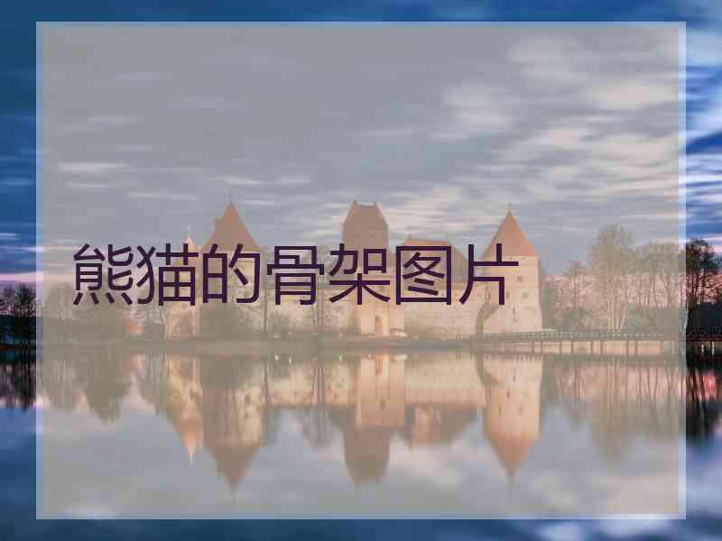 熊猫的骨架图片
