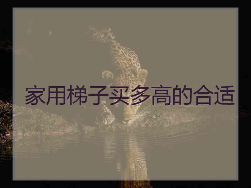 家用梯子买多高的合适