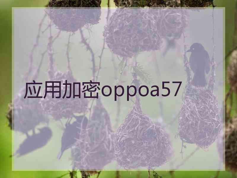 应用加密oppoa57