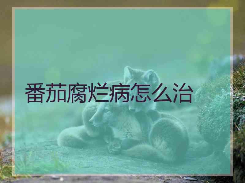 番茄腐烂病怎么治