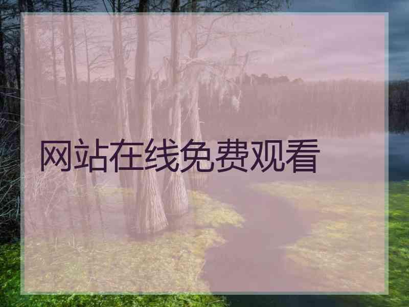 网站在线免费观看