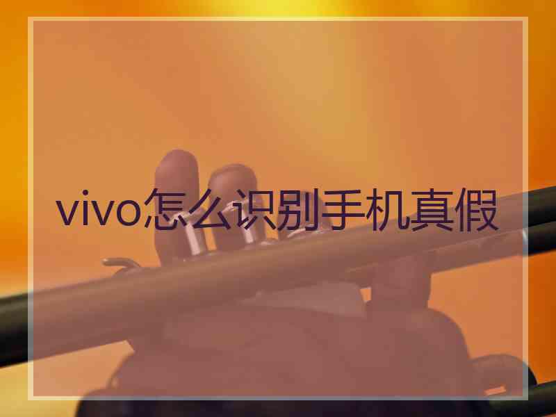 vivo怎么识别手机真假