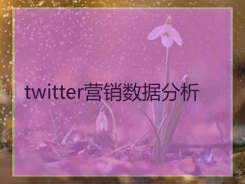 twitter营销数据分析