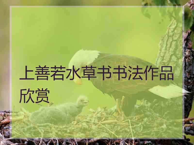上善若水草书书法作品欣赏