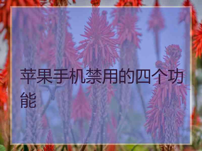 苹果手机禁用的四个功能