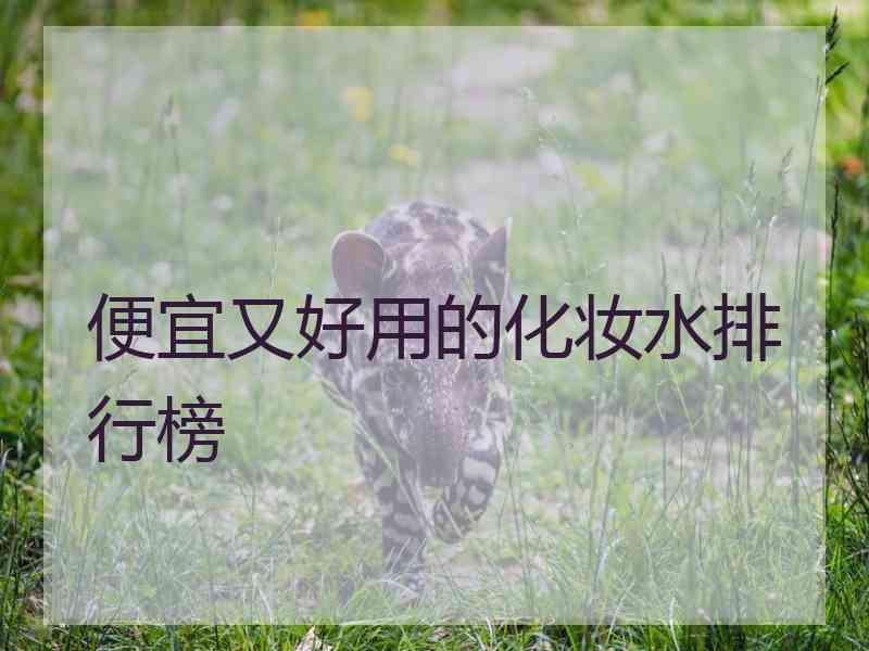 便宜又好用的化妆水排行榜
