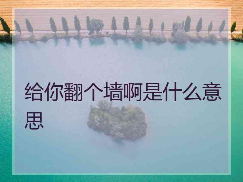 给你翻个墙啊是什么意思