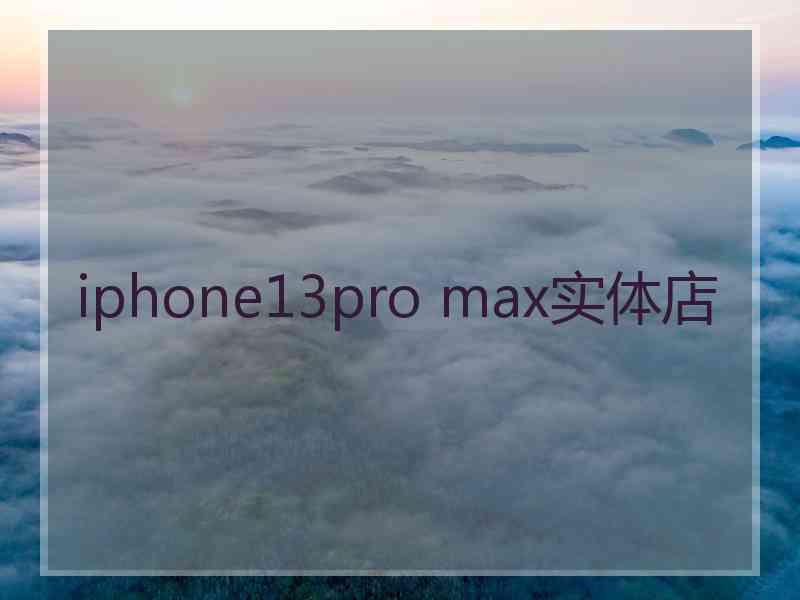 iphone13pro max实体店