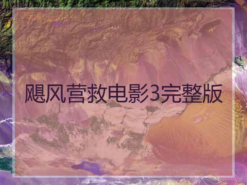飓风营救电影3完整版