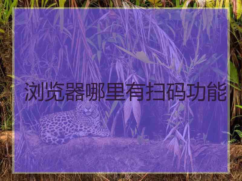 浏览器哪里有扫码功能