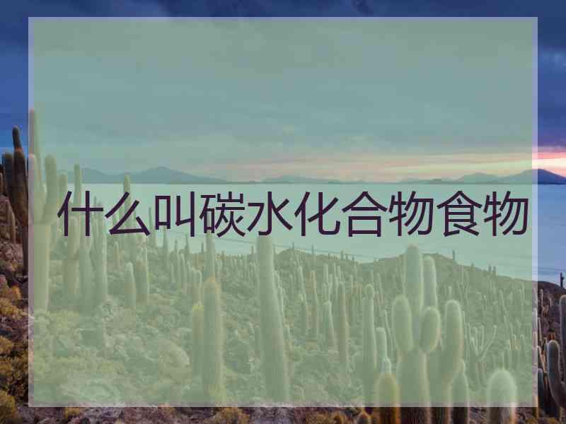 什么叫碳水化合物食物