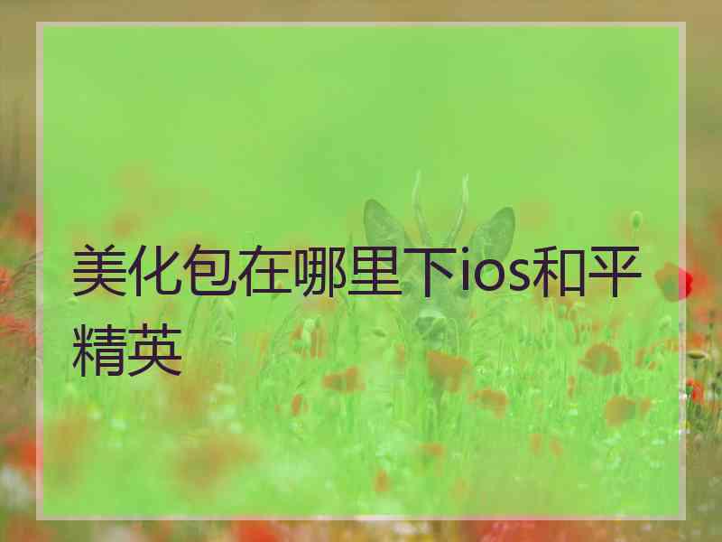 美化包在哪里下ios和平精英