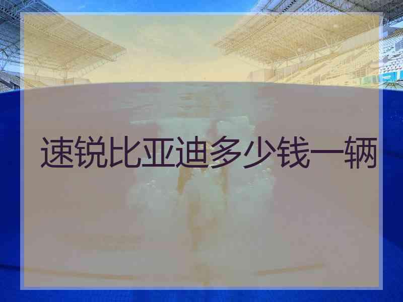 速锐比亚迪多少钱一辆