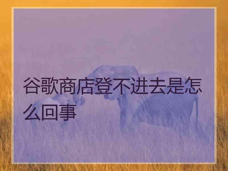 谷歌商店登不进去是怎么回事