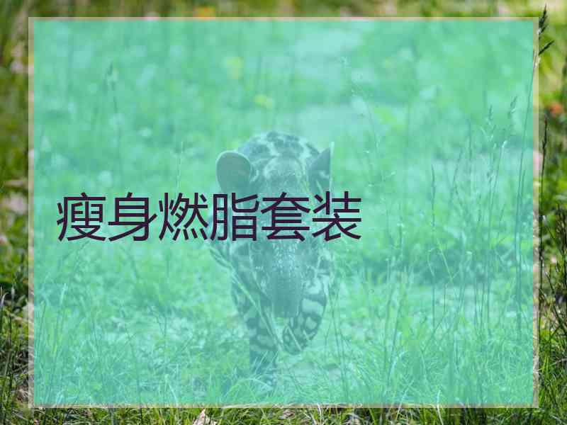 瘦身燃脂套装