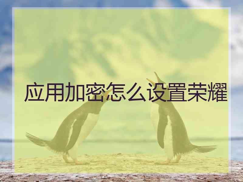 应用加密怎么设置荣耀