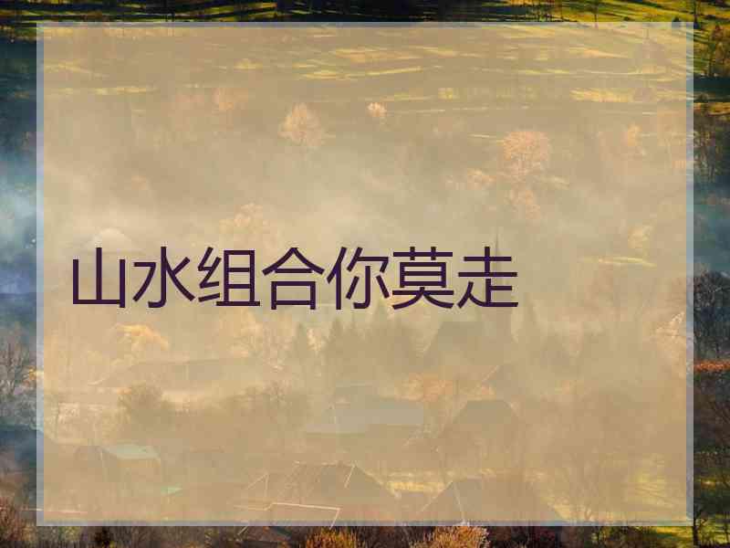山水组合你莫走