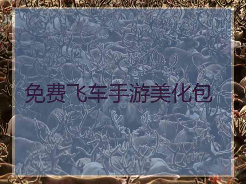 免费飞车手游美化包