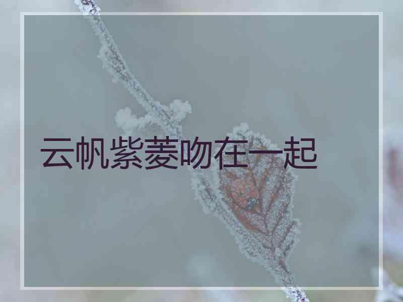 云帆紫菱吻在一起