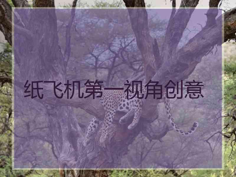 纸飞机第一视角创意