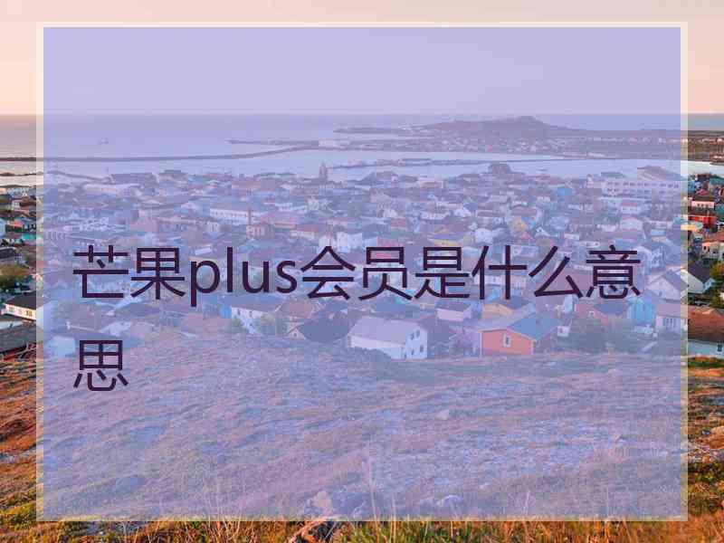 芒果plus会员是什么意思