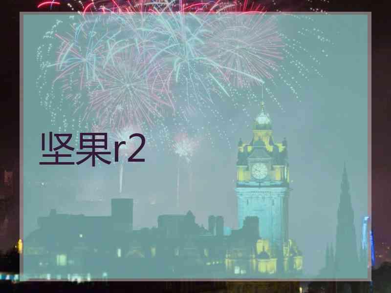 坚果r2
