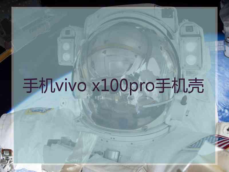 手机vivo x100pro手机壳