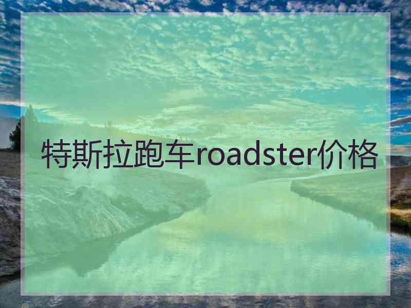 特斯拉跑车roadster价格