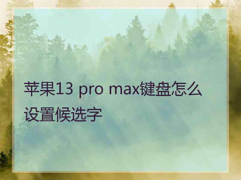苹果13 pro max键盘怎么设置候选字
