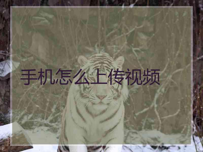 手机怎么上传视频