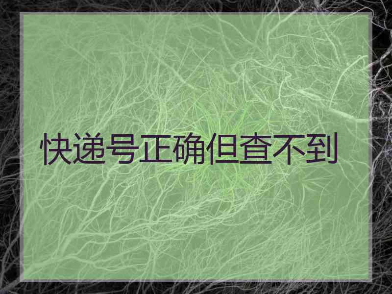 快递号正确但查不到