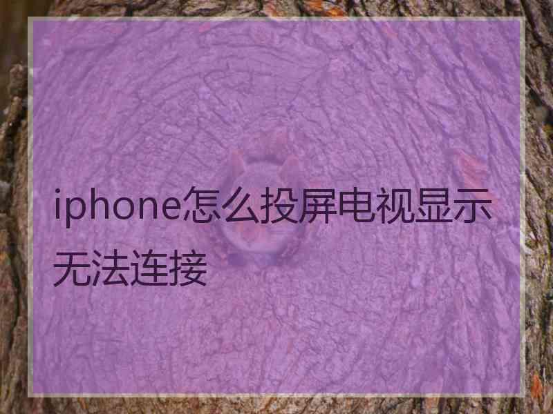 iphone怎么投屏电视显示无法连接