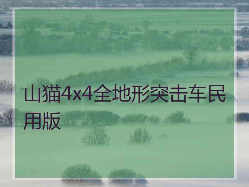山猫4x4全地形突击车民用版