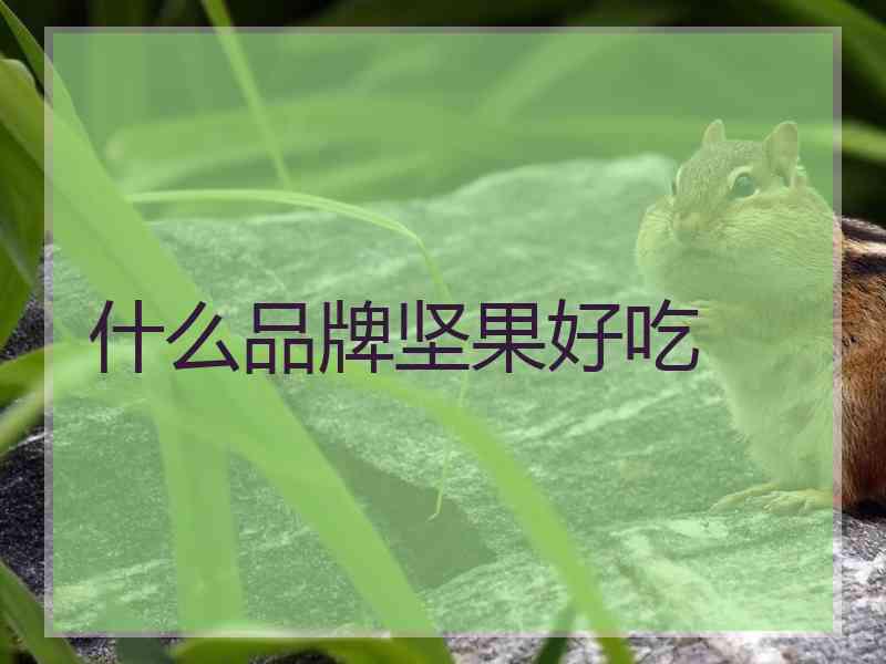 什么品牌坚果好吃