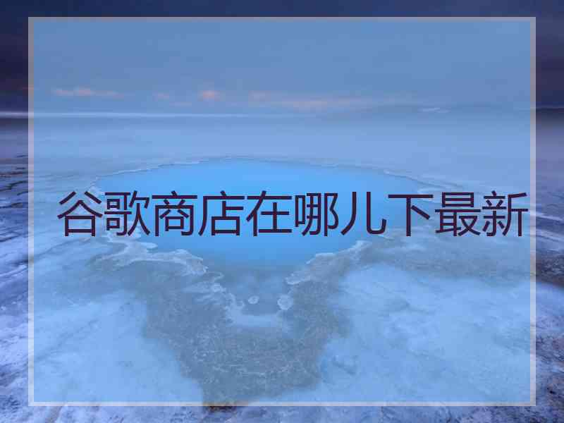 谷歌商店在哪儿下最新