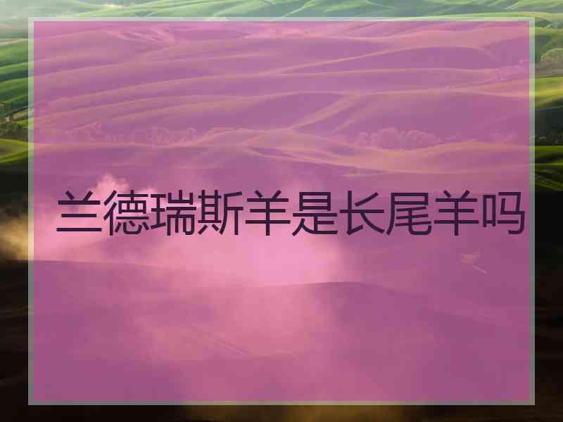 兰德瑞斯羊是长尾羊吗