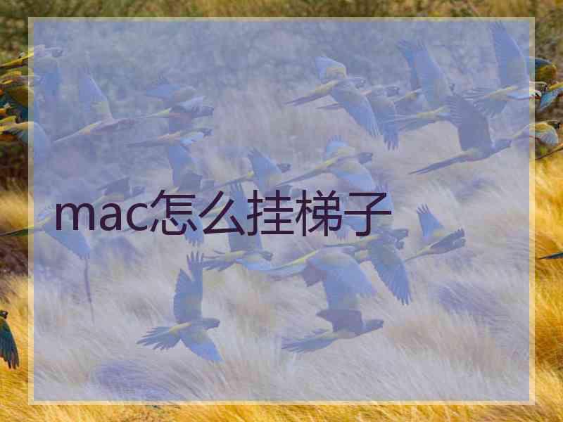 mac怎么挂梯子