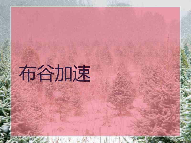 布谷加速